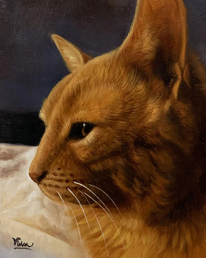 Custom close up acrylic painting of a cat