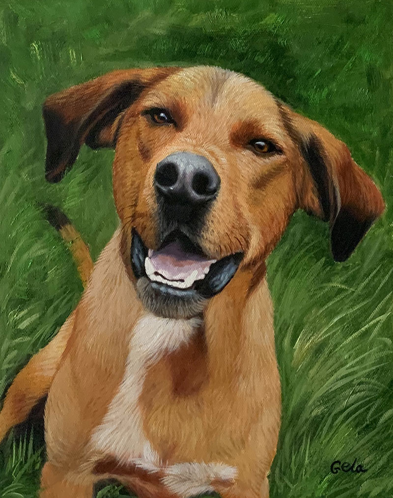 Custom close up oil artwork of a pet