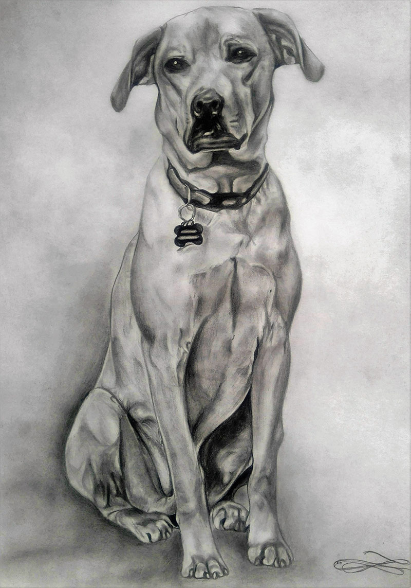 Custom handmade charcoal painting of a dog
