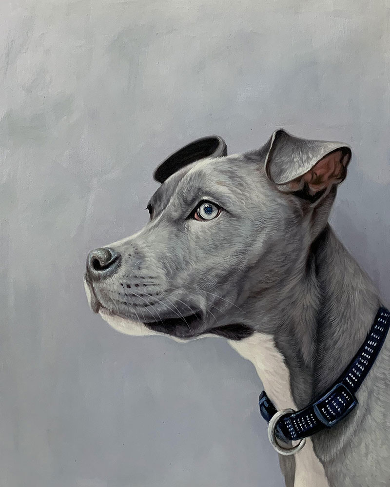 Hyper realistic oil painting of a dog