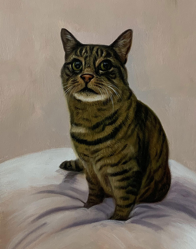 Custom oil painting of a cat 