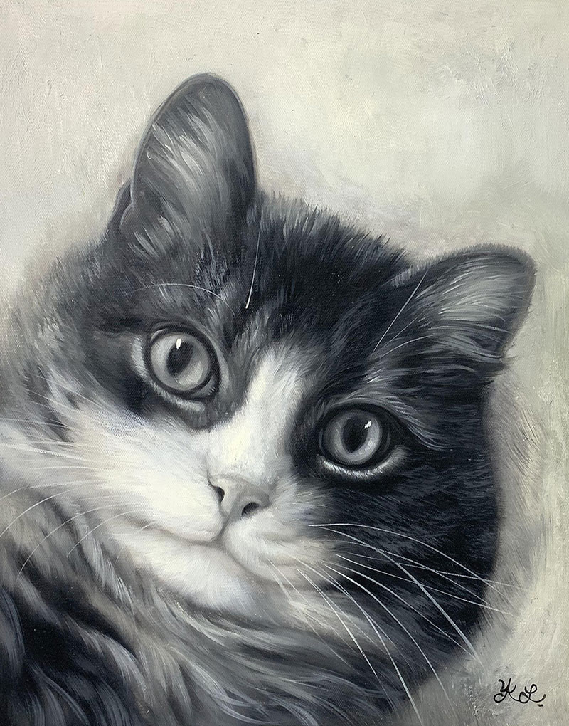 Custom oil painting of a cat with a solid background