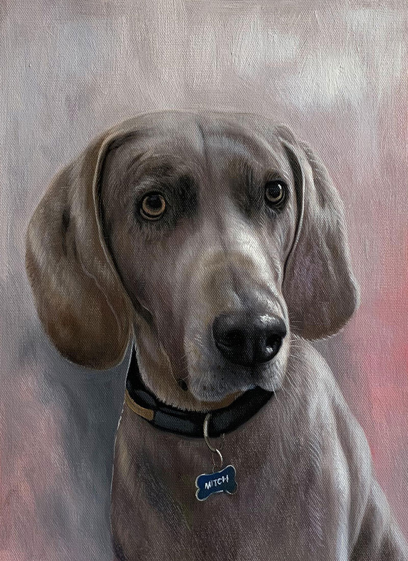Painting of a Weimaraner dog named Mitch wearing a collar and tag.