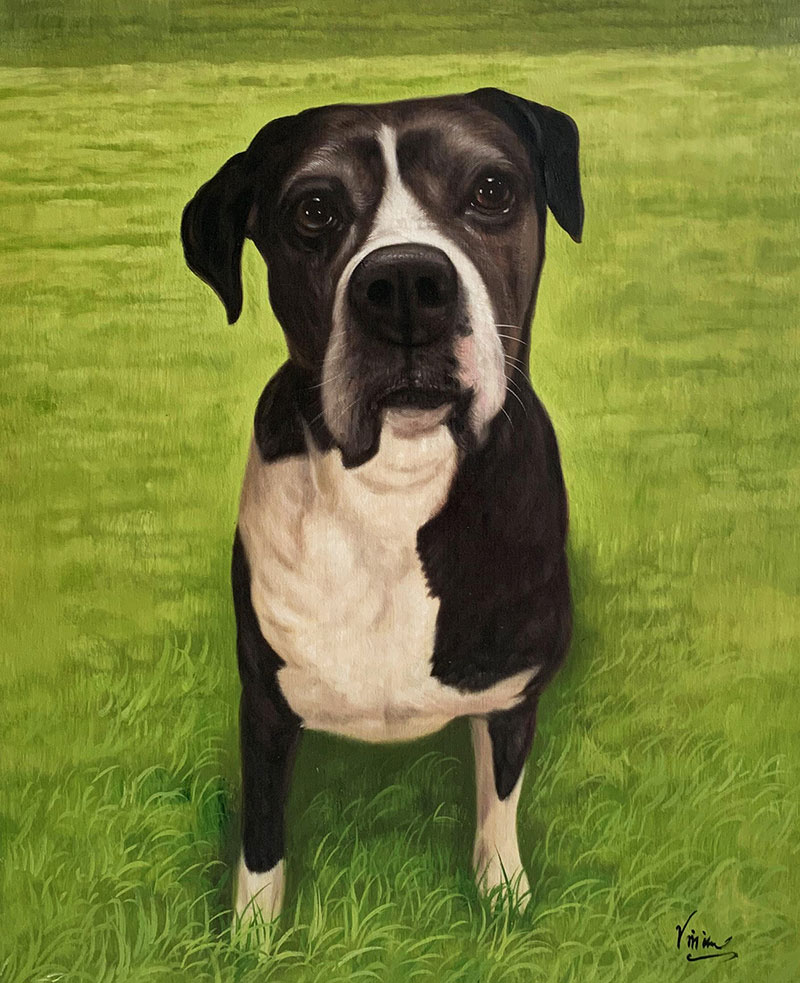Painting of a black and white dog sitting in green grass