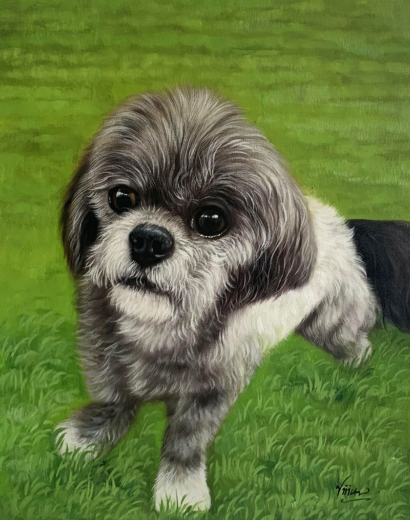 Painting of a Shih Tzu dog in the grass