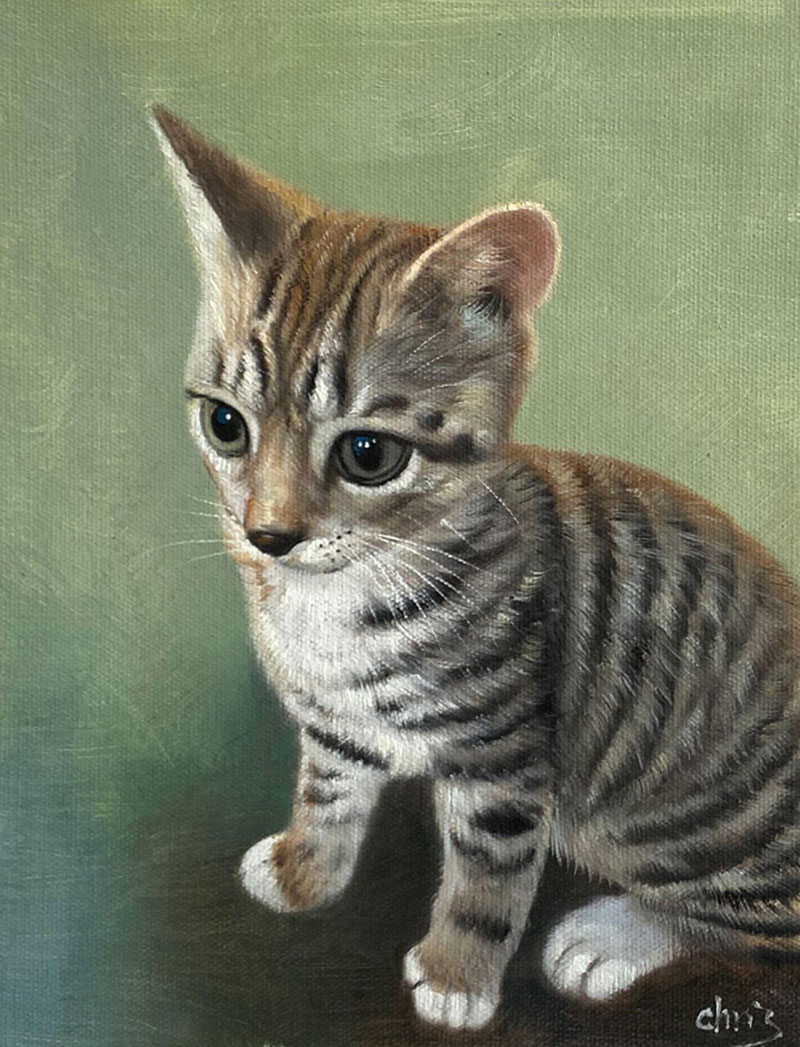 Beautiful handmade oil artwork of a kitten