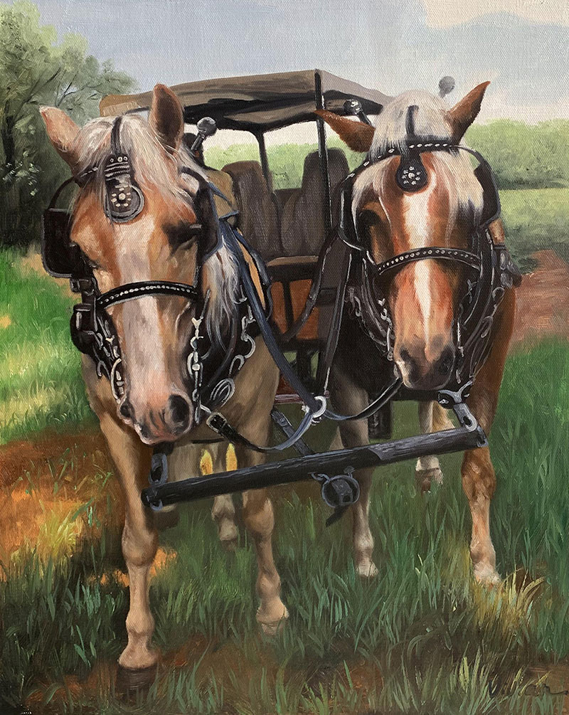 Two horses harnessed to a carriage in a field.