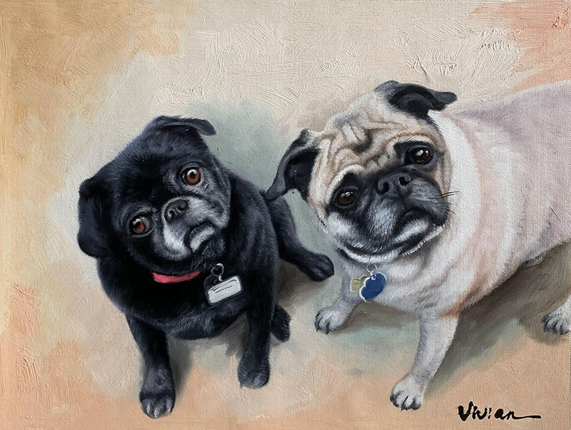 Painting of two pugs looking up, one black, one tan.