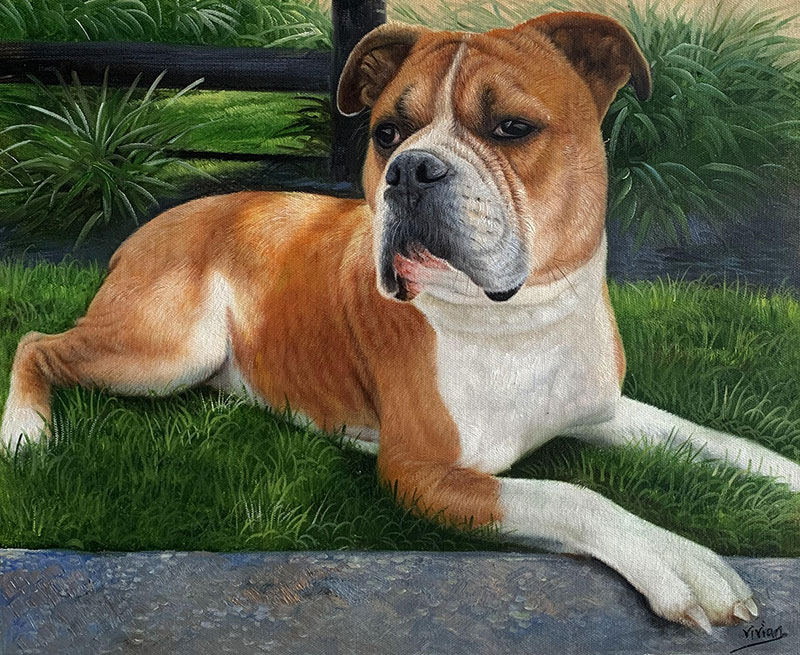 Painting of a fawn and white Boxer dog lying on the grass