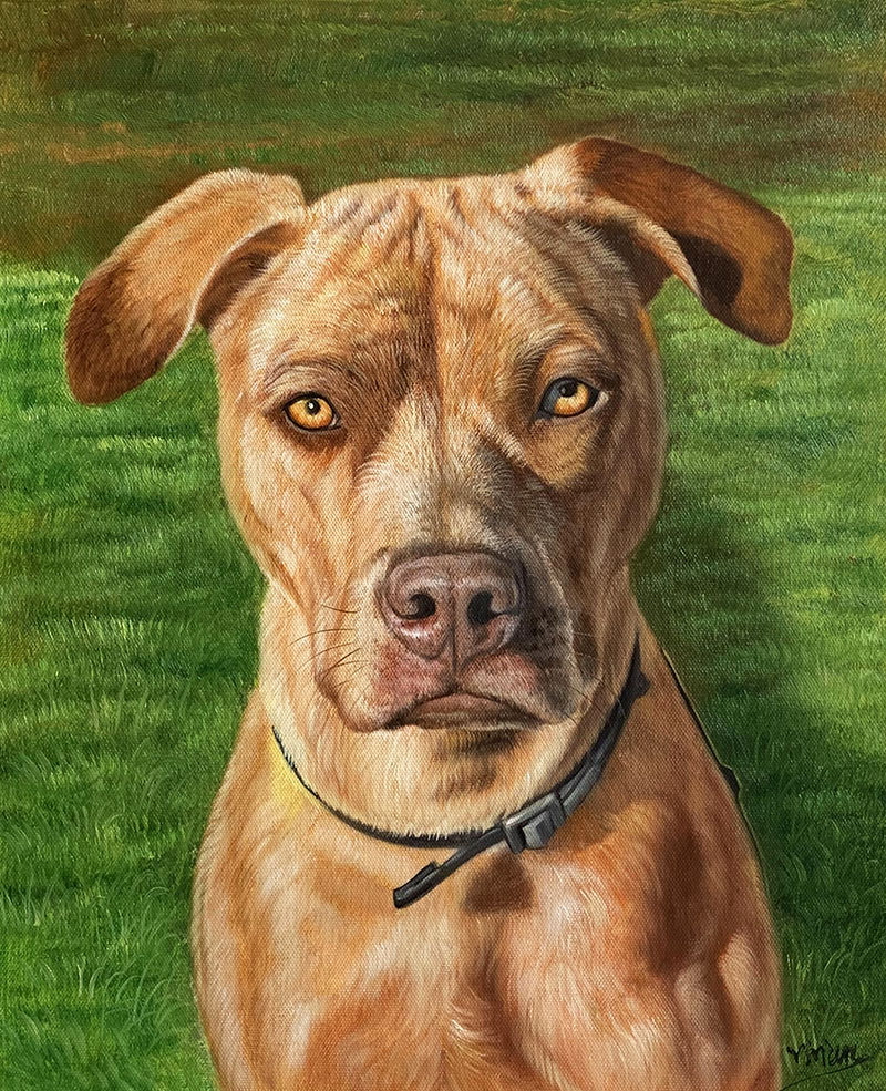 Painting of a light brown dog wearing a black collar, sitting in green grass.