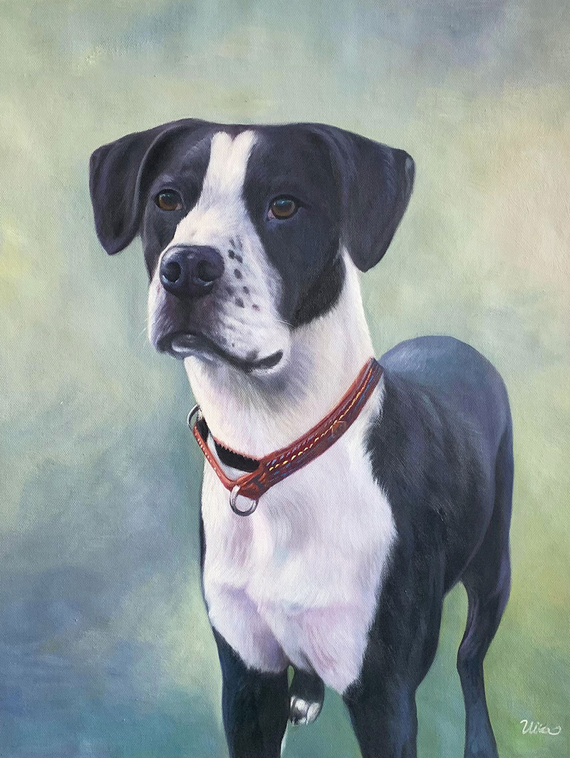 Oil painting of a black and white dog wearing a brown collar