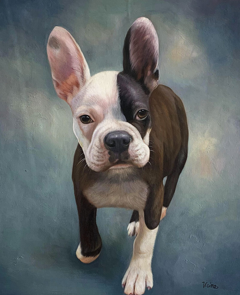 Painting of a French bulldog puppy, black and white