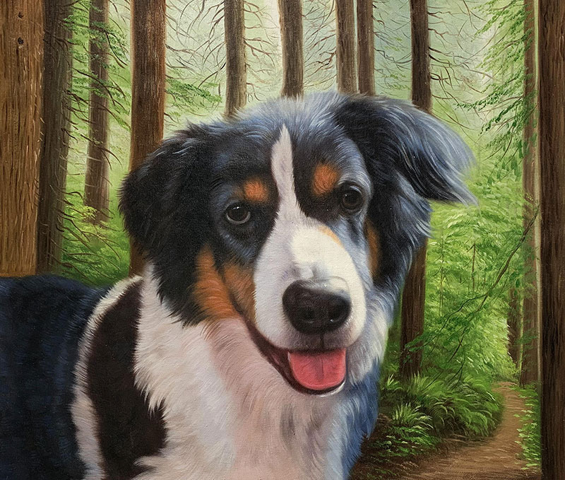Painting of a tri-color border collie in a forest.
