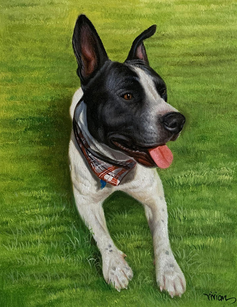 Painting of a black and white dog wearing a bandana lying in the grass.