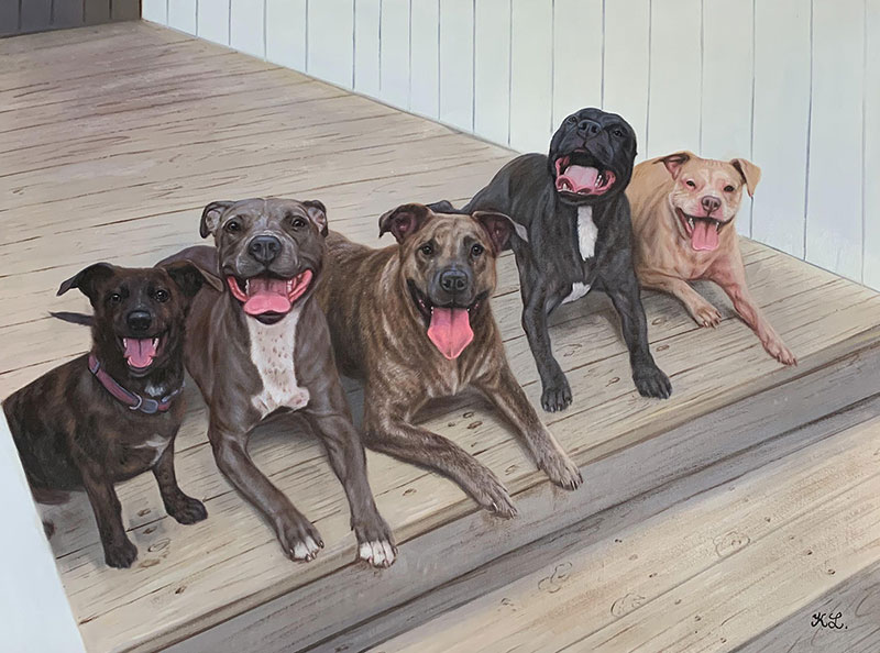 Five happy dogs lying on a wooden deck.