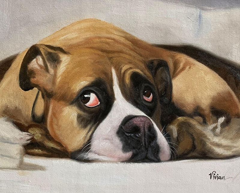 Painting of a Boxer dog lying down