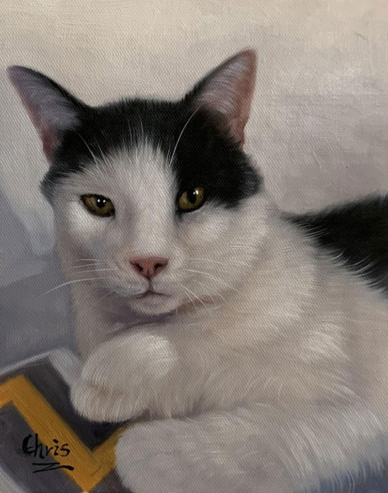 Painting of a tuxedo cat lying down.