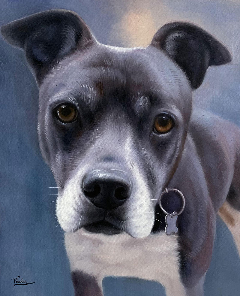 Painting of a gray and white dog with brown eyes