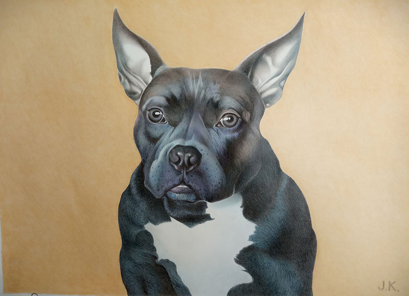 Charcoal Pet Paintings By Talented Artists - PaintYourLife