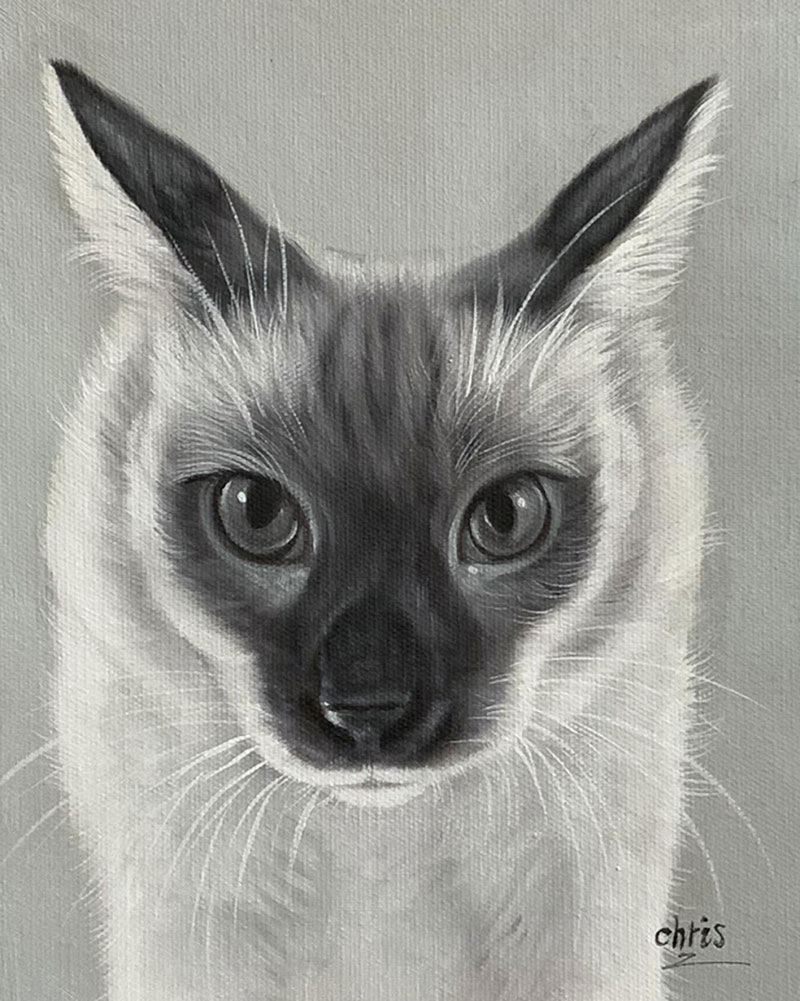 Beautiful black and white painting of a cat in oil