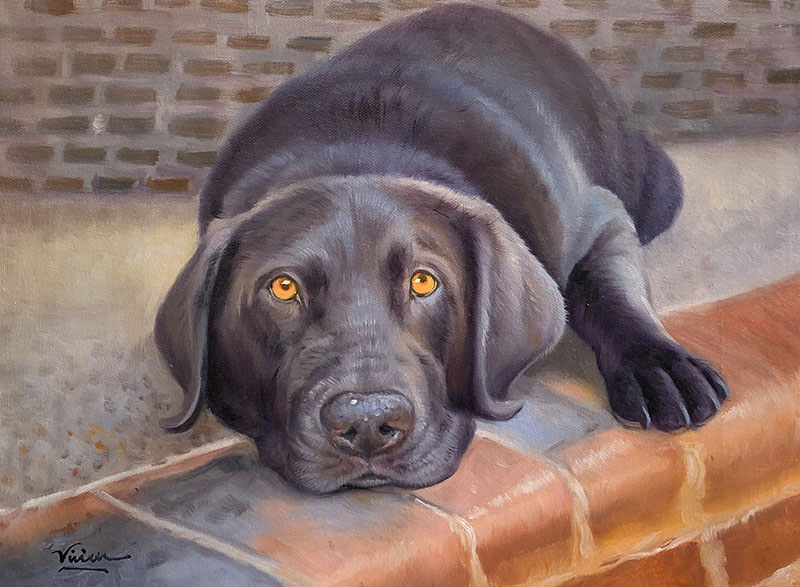 Beautiful handmade oil artwork of a dog