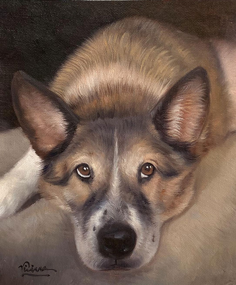 Custom oil painting of a dog