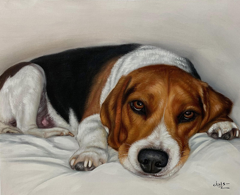 Oil painting of a beagle lying down.
