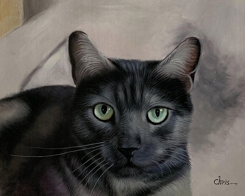 Custom oil painting of a cat