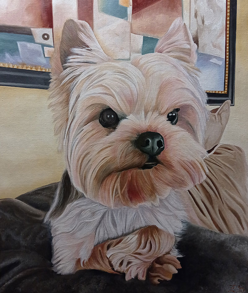 Painted portrait of a Yorkshire Terrier.