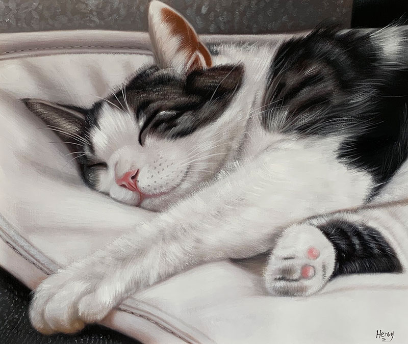 custom oil painting of sleepy cat 