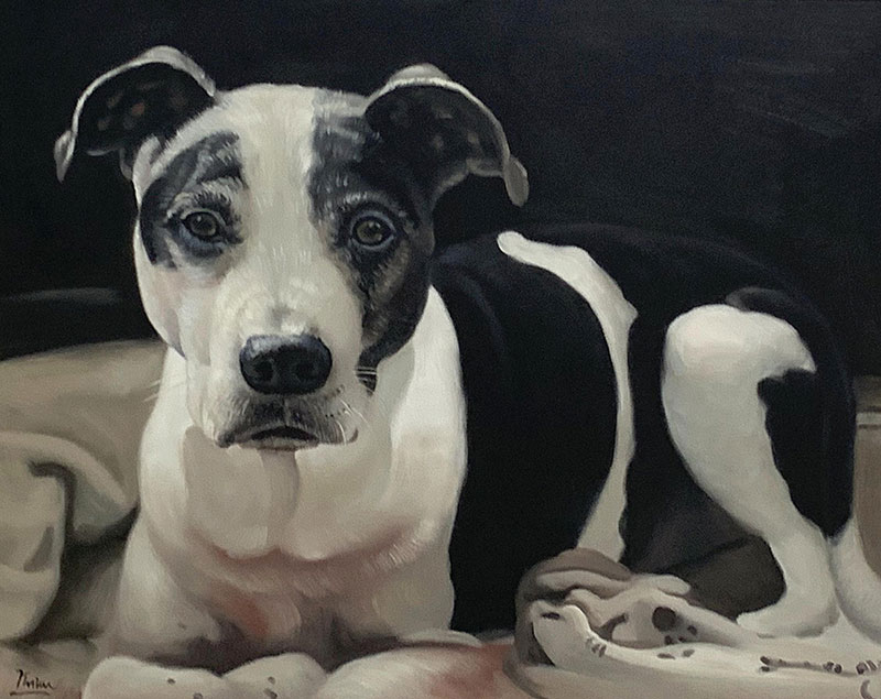 Custom close up oil artwork of a dog