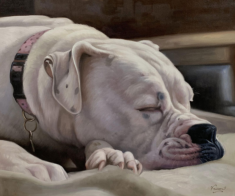 Painting of a sleeping white American Bulldog wearing a pink collar.