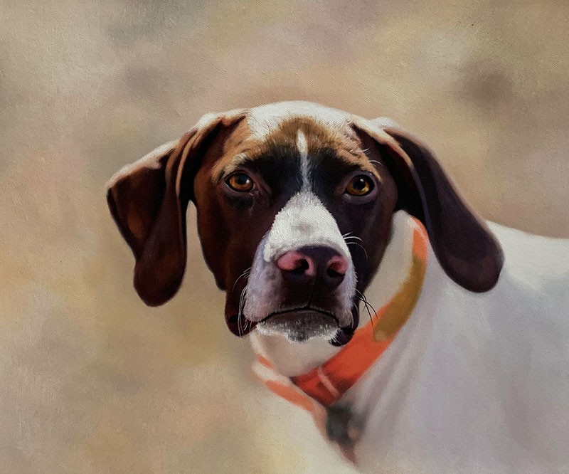 Painting of a brown and white pointer dog wearing an orange collar