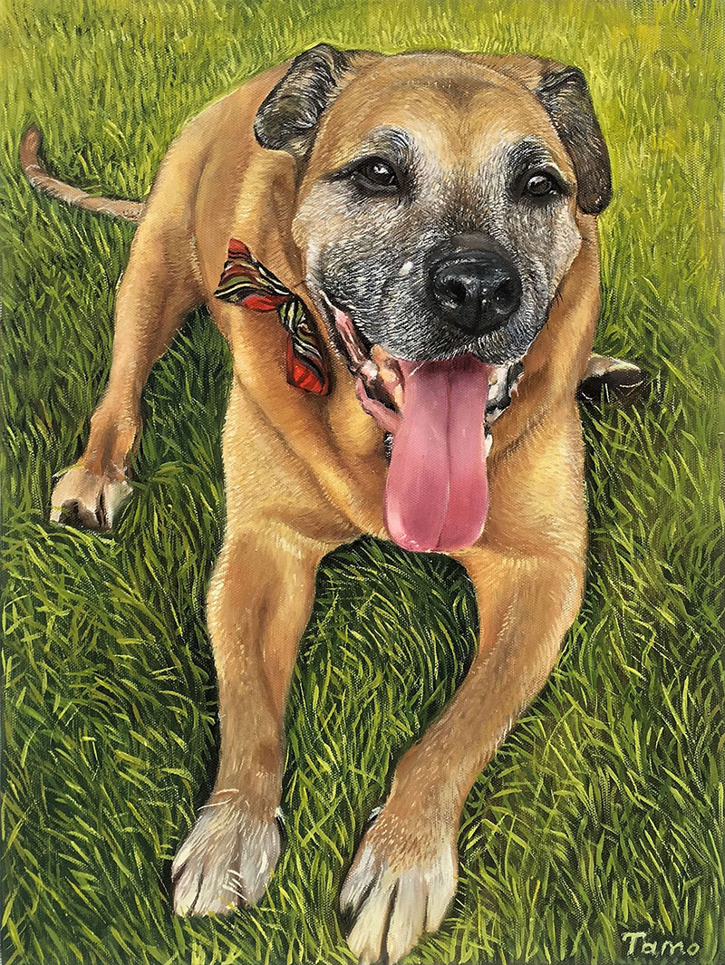smiling dog portrait