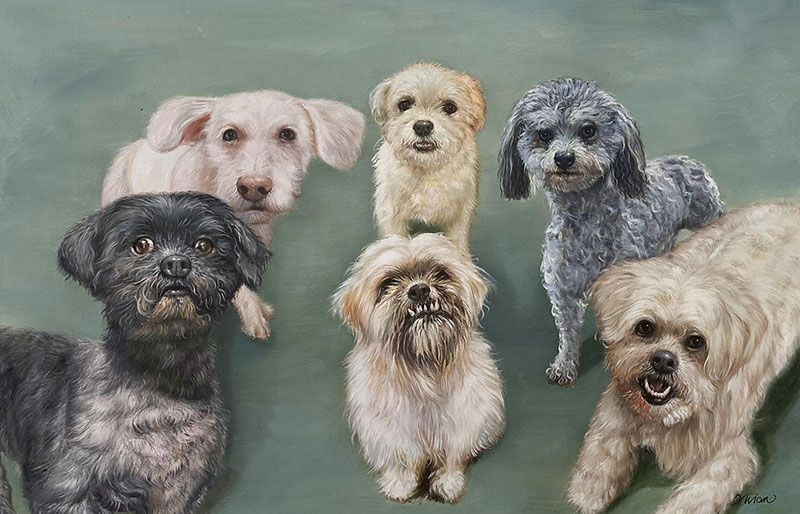 Painting of six small dogs in a group portrait.