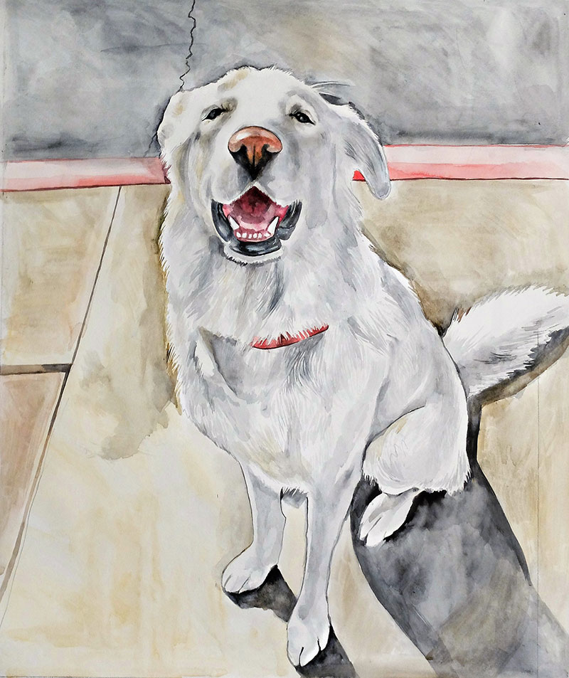 custom watercolor painting of happy white dog