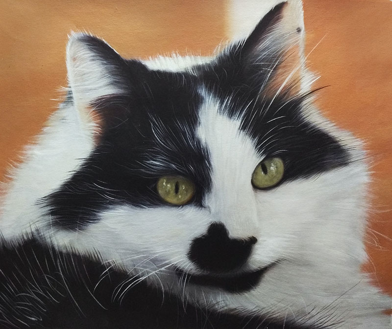 Custom oil portrait of a black and white cat with green eyes