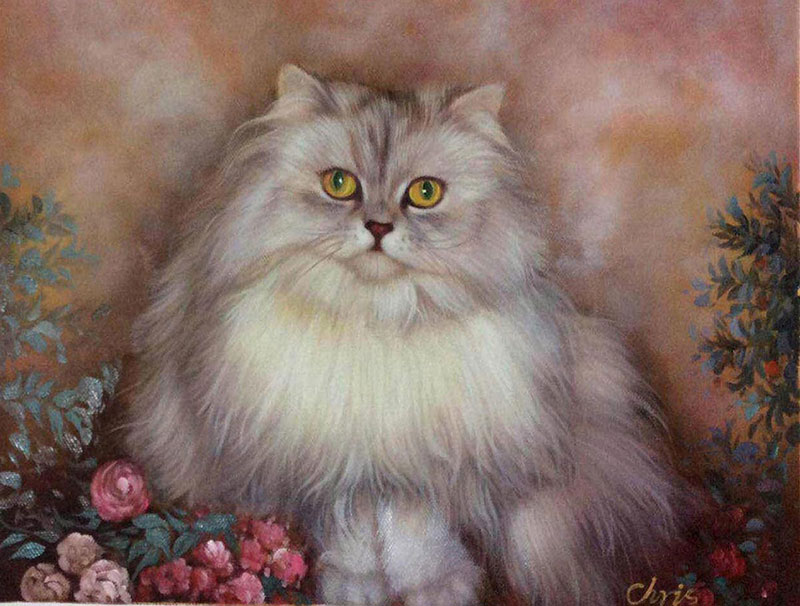 Custom oil handmade portrait of a long hair grey cat
