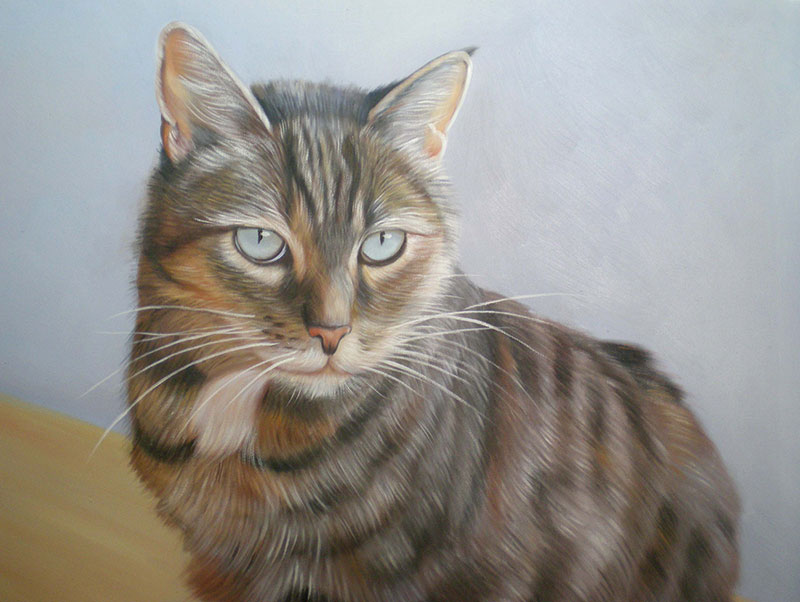 Custom oil handmade portrait of a shabby grey cat