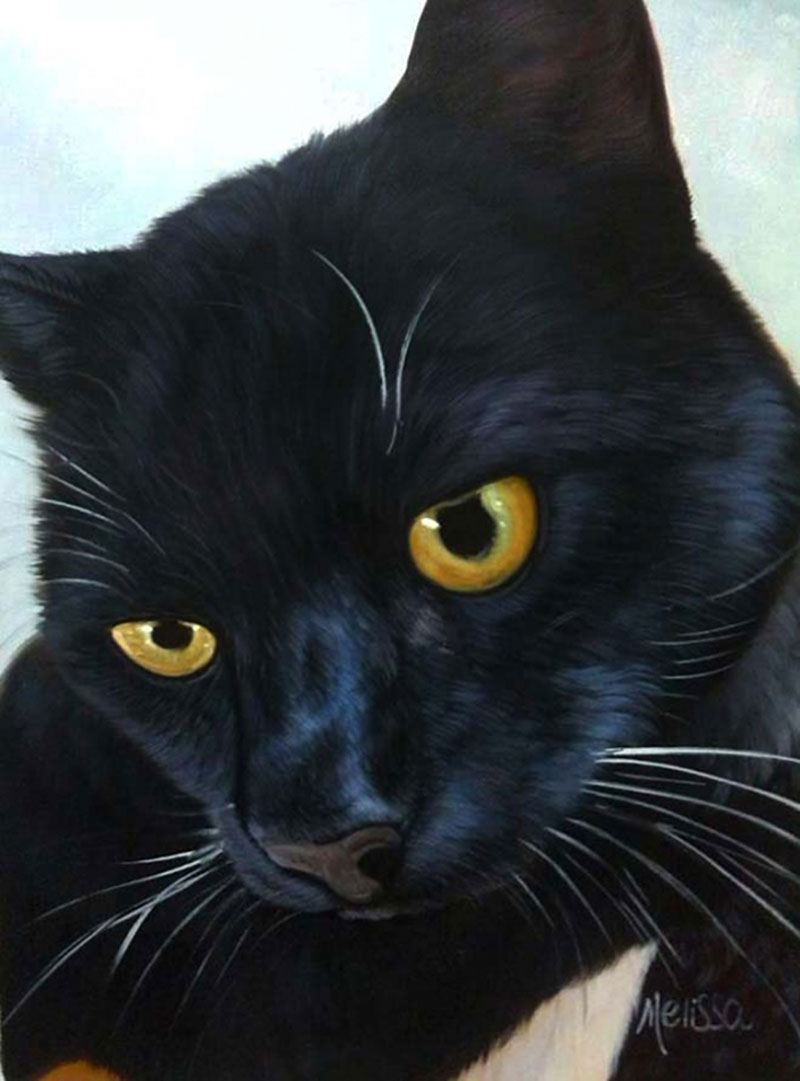 photo to painting on canvas of black cat with yellow eyes