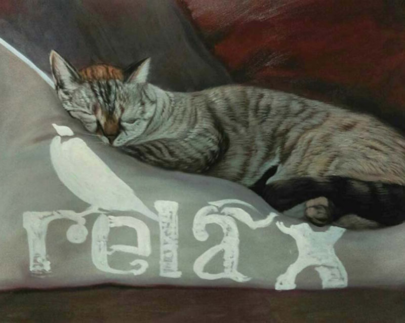 oil painting of sleeping cat from photo