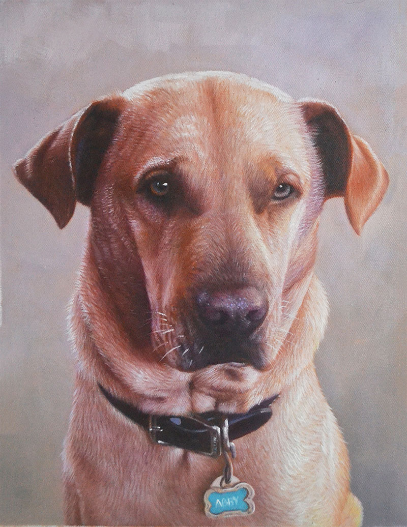 Painting of a light brown dog named Abby wearing a collar with a tag.