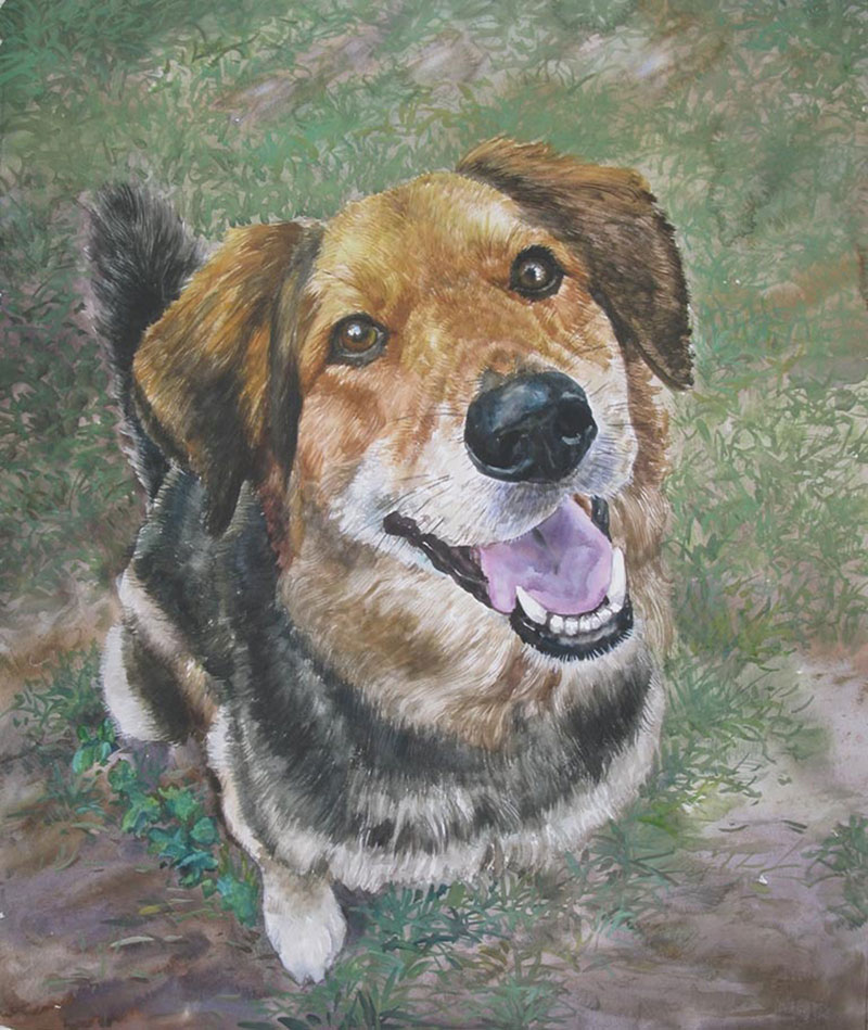 custom watercolor painting of English Shepherd in grass