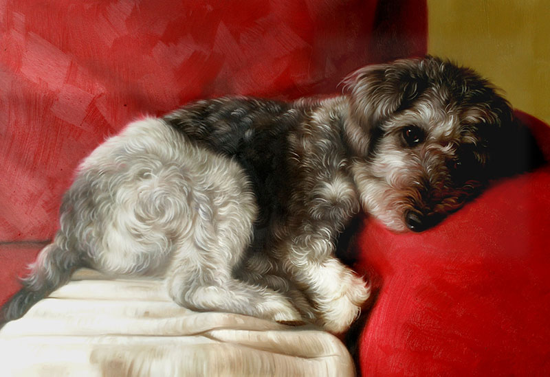 custom acrylic painting of brown Schnoodle dog