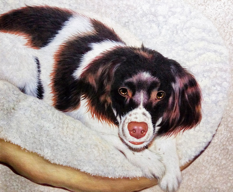 Painting of a brown and white spaniel resting on a white fluffy surface.