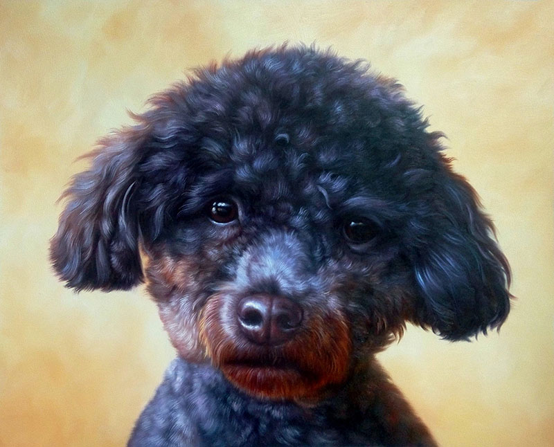 curly dog custom portrait