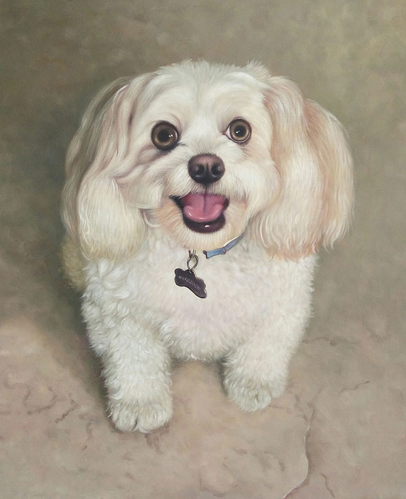 Painting of a fluffy white dog wearing a blue collar and tag