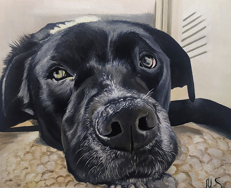 Close up oil painting of a black dog