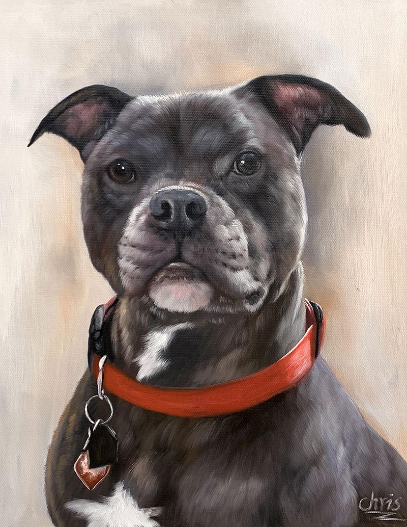 Custom close up oil painting of a dog 