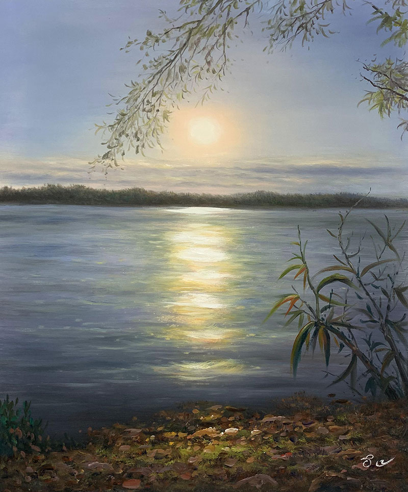 Sunset over calm water, tree branches framing the scene.